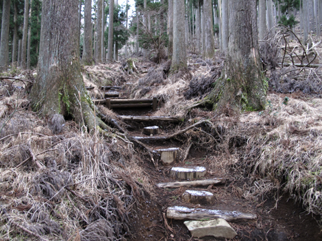 20160204hike (76)